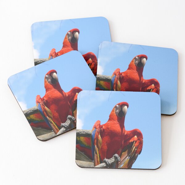 Item preview, Red Parrot designed and sold by Monika's Shop.