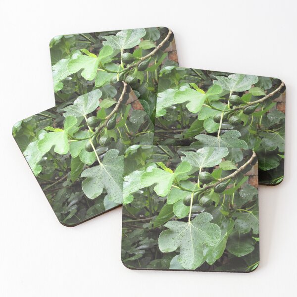 Item preview, Green Figs in the Rain designed and sold by GoNatureDesigns.