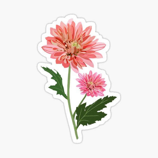 Buy November Birth Flower SVG PNG Chrysanthemum Flower File Online in India   Etsy