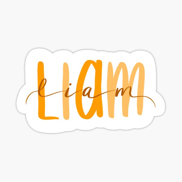 Liam Sticker For Sale By Grac1e18 Redbubble