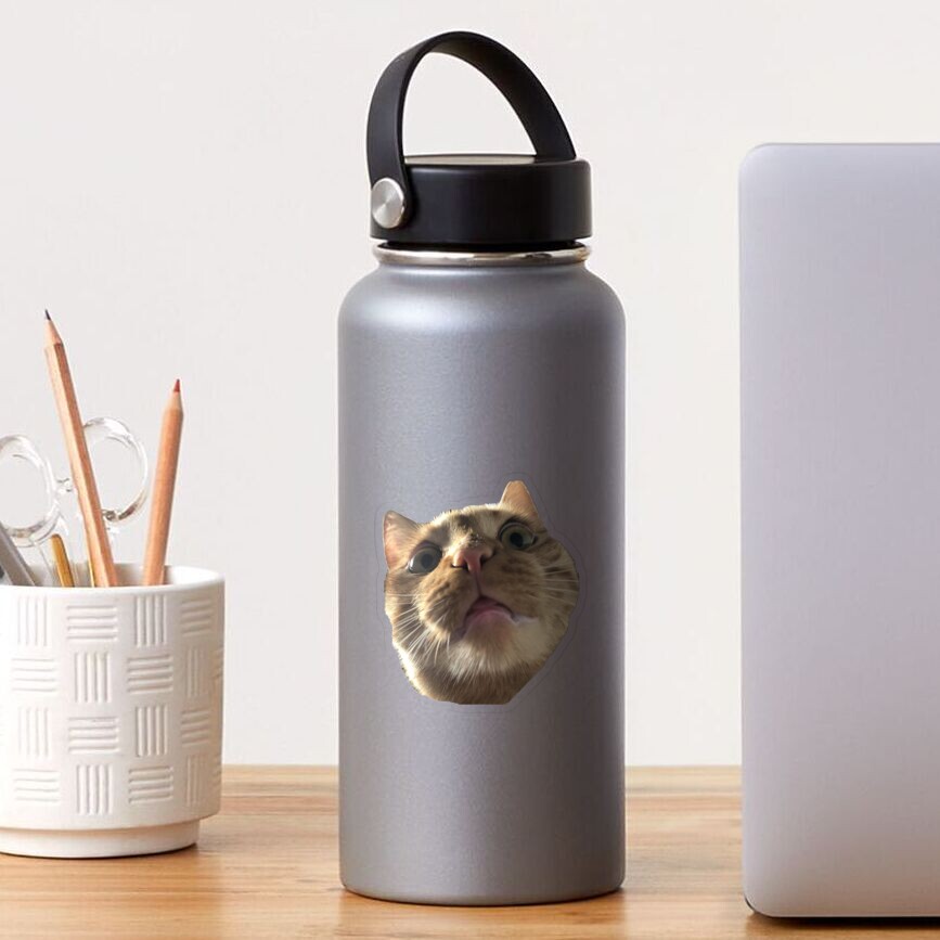 Item preview, Transparent Sticker designed and sold by knockoutkitten.