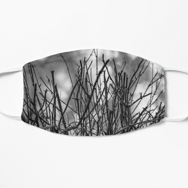 twigs Flat Mask