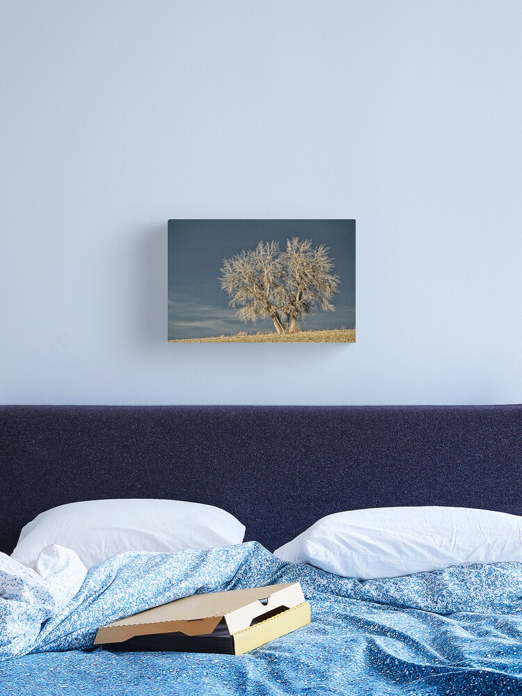 Thumbnail 2 of 3, Canvas Print, Waiting For Winter On The Colorado Plains designed and sold by nikongreg.