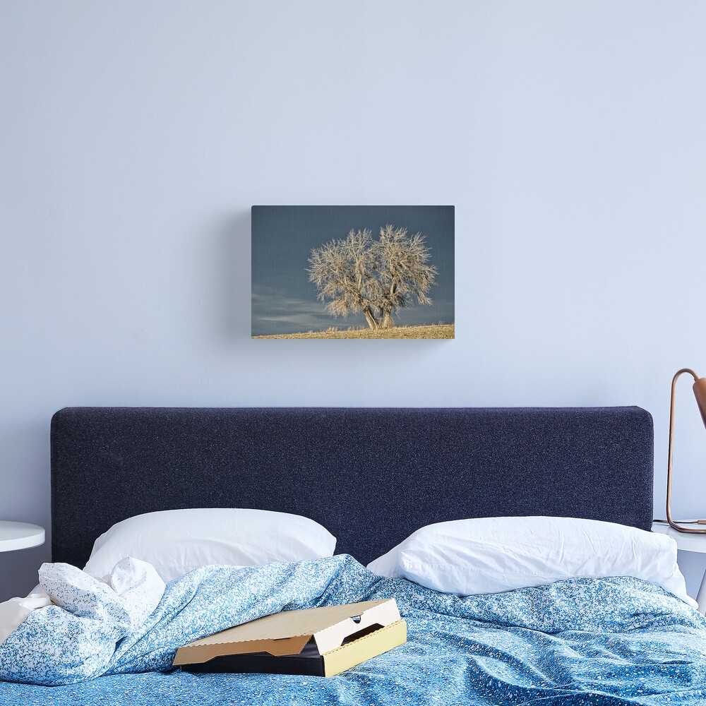 Waiting For Winter On The Colorado Plains Canvas Print