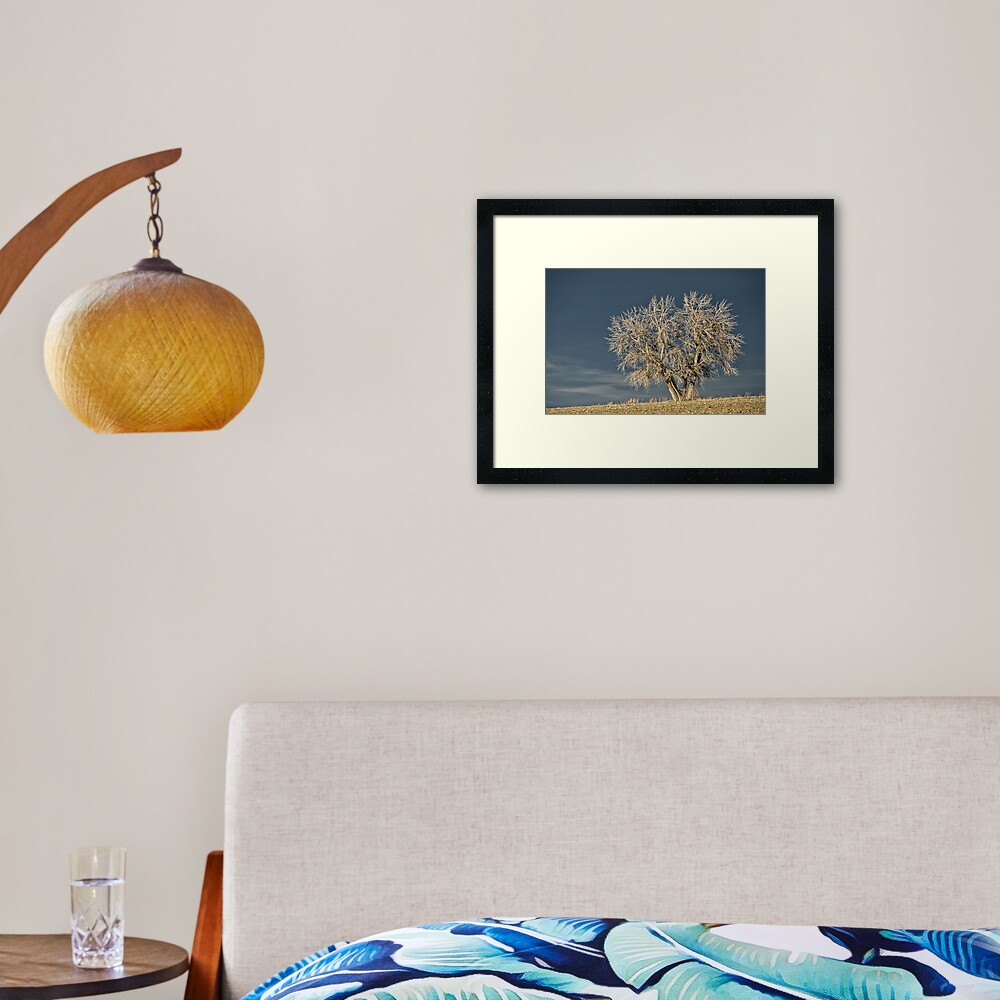 Item preview, Framed Art Print designed and sold by nikongreg.