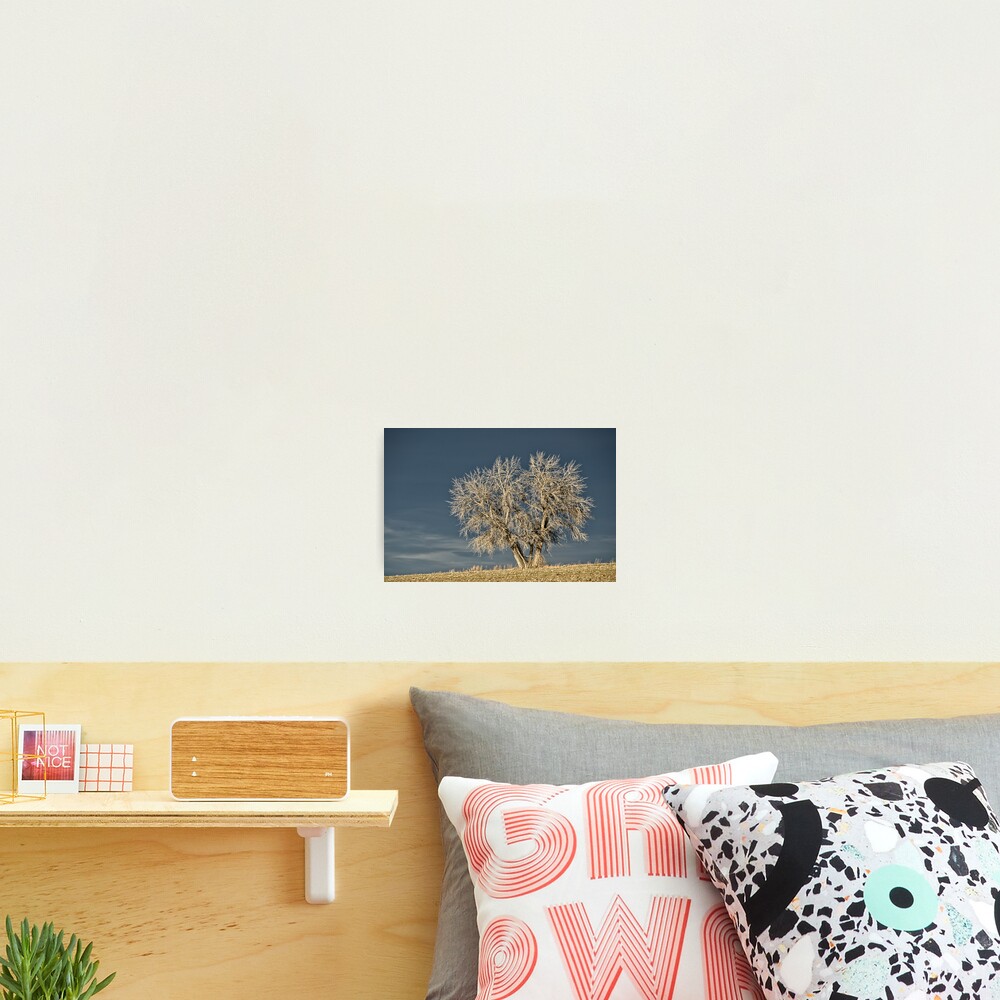 Item preview, Photographic Print designed and sold by nikongreg.