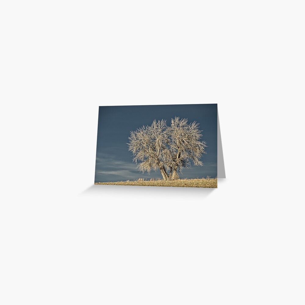 Item preview, Greeting Card designed and sold by nikongreg.