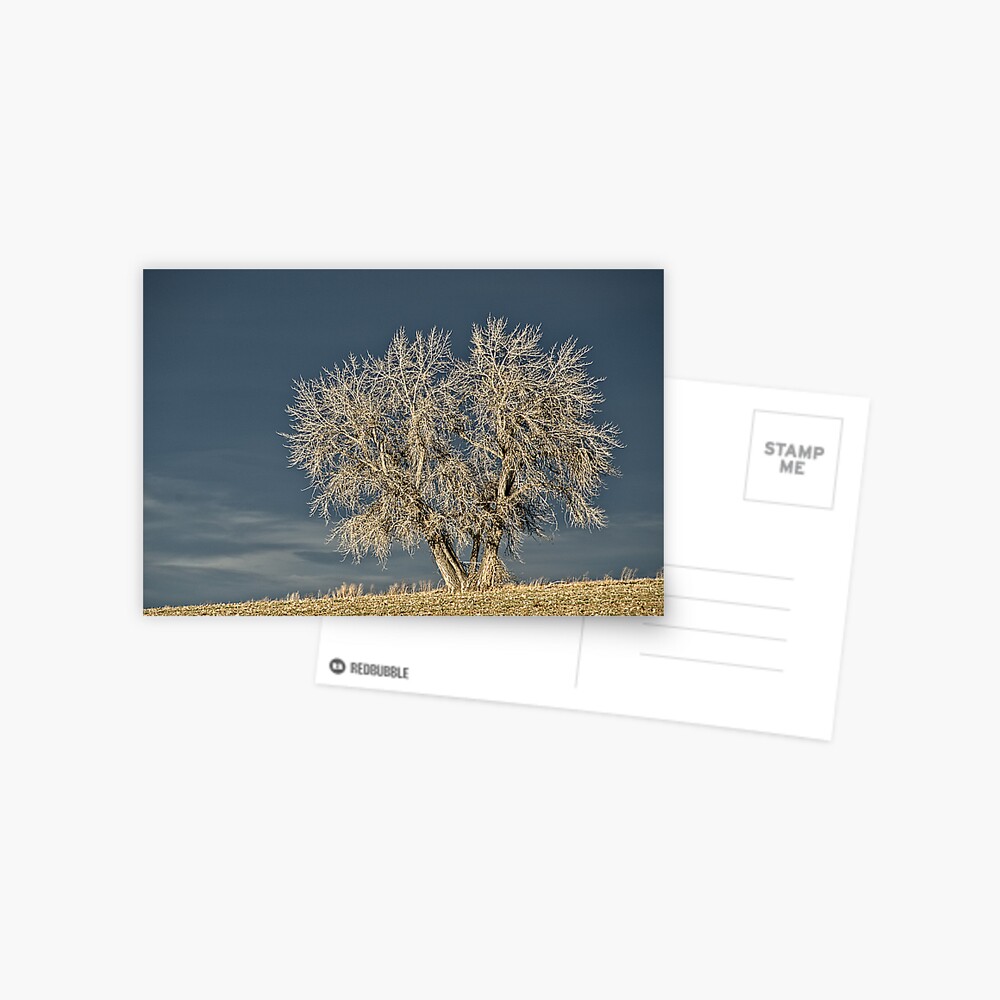 Item preview, Postcard designed and sold by nikongreg.
