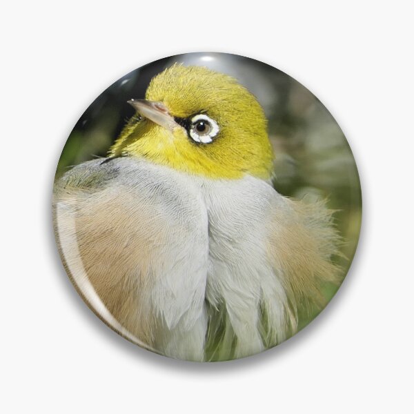 Item preview, Camouflaged - Silvereye - NZ designed and sold by AndreaEL.