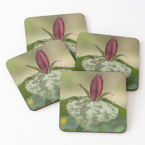 Item preview, Blossom designed and sold by JPOakes.