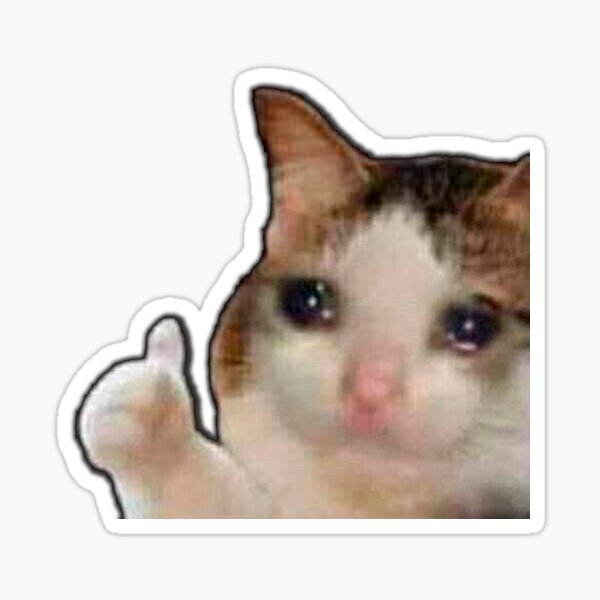 Crying cat Sticker