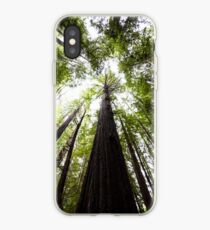Redwood Trees iPhone Case