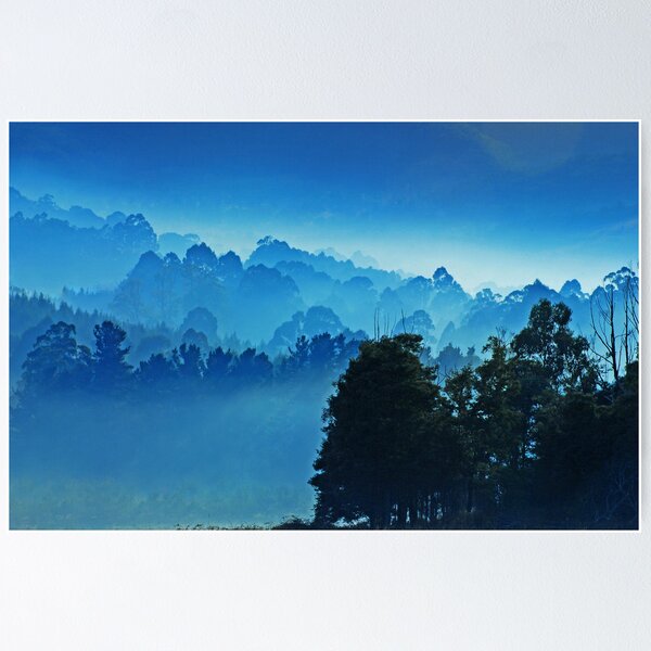 Item preview, The first low rays of sun at Huon Valley designed and sold by Imi Koetz.