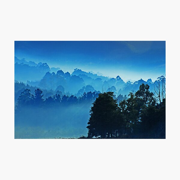 Item preview, The first low rays of sun at Huon Valley designed and sold by Imi Koetz.