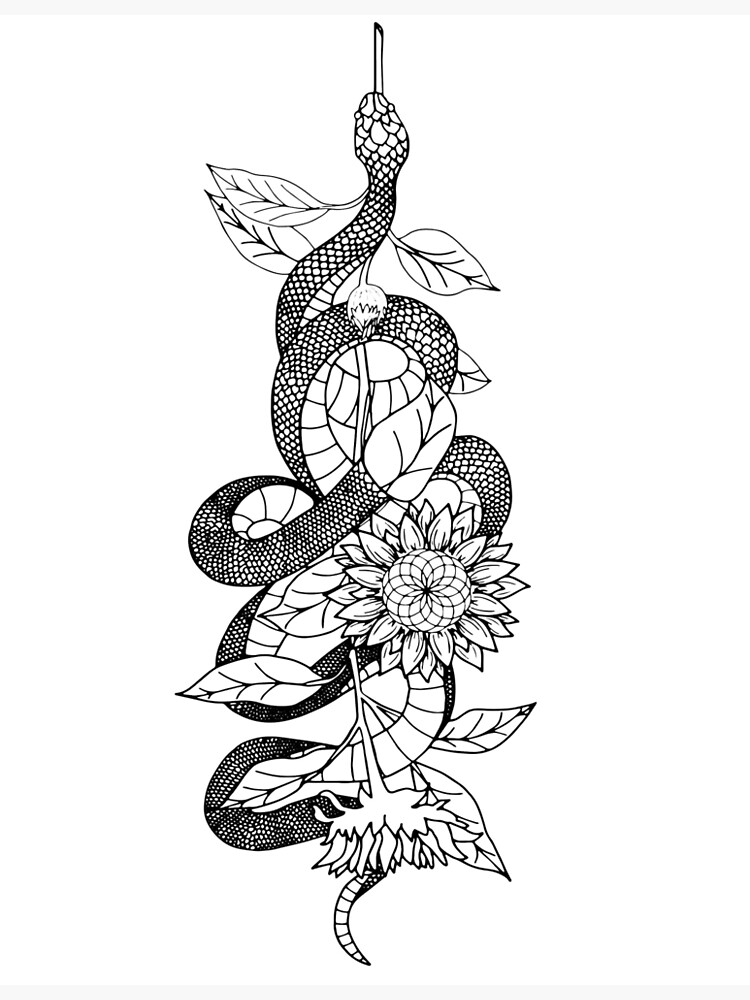 "Snake with Sunflowers" Poster by creativecavy Redbubble
