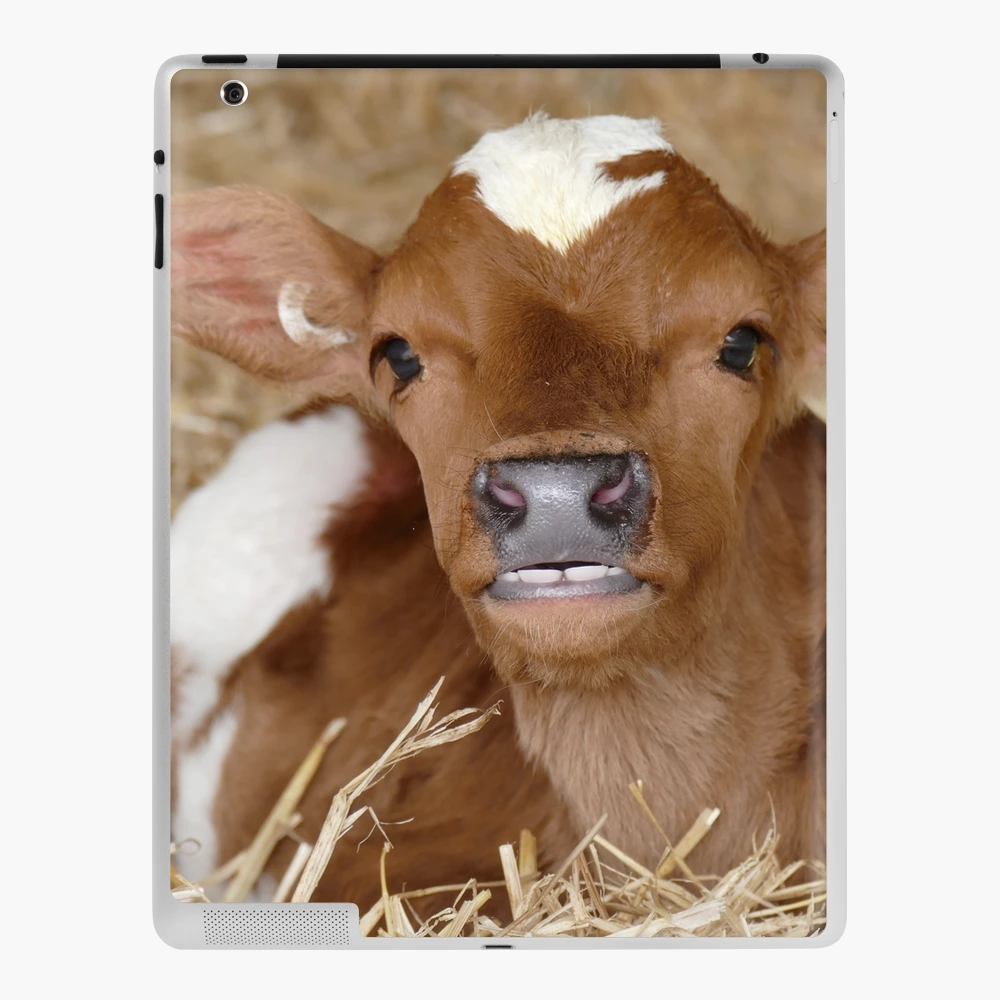 I Have Perfect Teeth! - Calf NZ iPad Case & Skin for Sale by