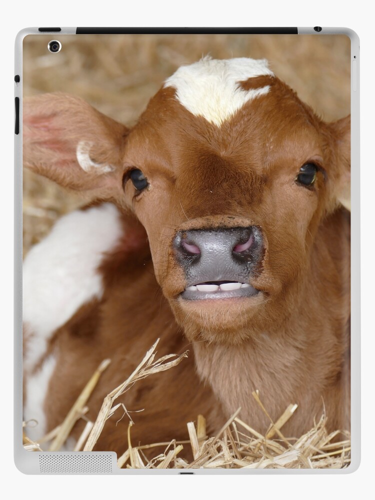 I Have Perfect Teeth! - Calf NZ iPad Case & Skin for Sale by