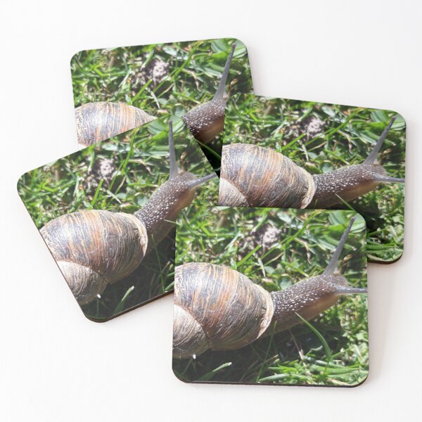 Item preview, Garden Snail designed and sold by Pickle-Mouse.