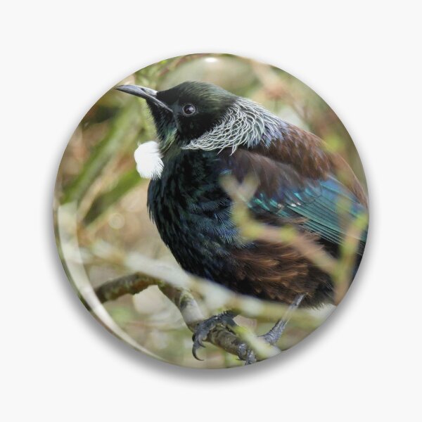 Item preview, Me Boisterous... Never! - Tui NZ designed and sold by AndreaEL.
