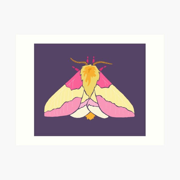 Rosy Maple Moth (large), an art print by Lo Rae Creates - INPRNT