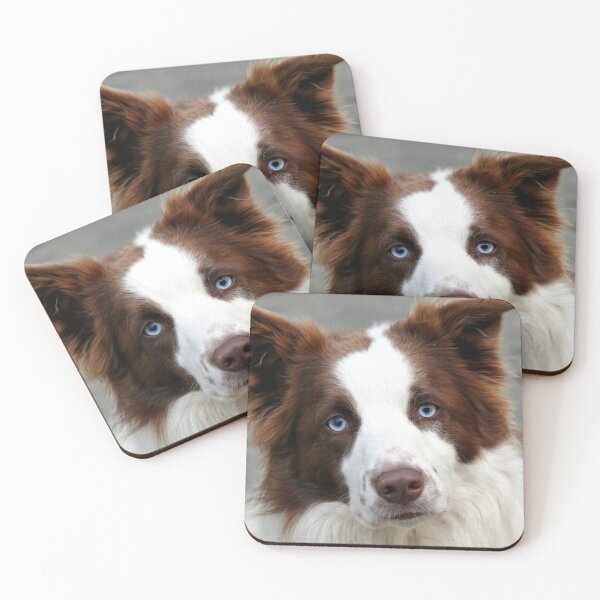 Item preview, Blue Eyed Collie - NZ designed and sold by AndreaEL.