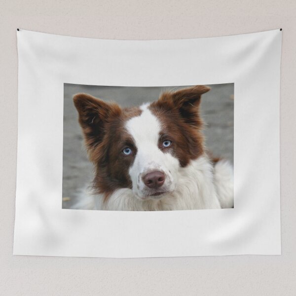 Item preview, Blue Eyed Collie - NZ designed and sold by AndreaEL.