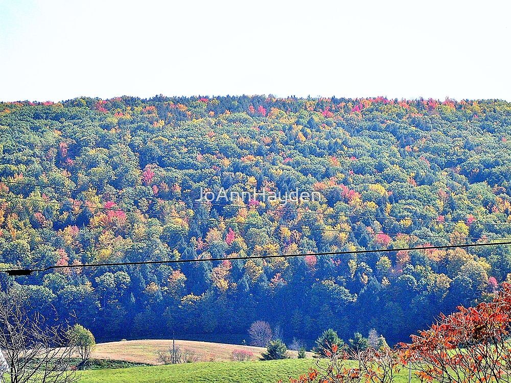 "RURAL NEW YORK STATE" by JoAnnHayden Redbubble