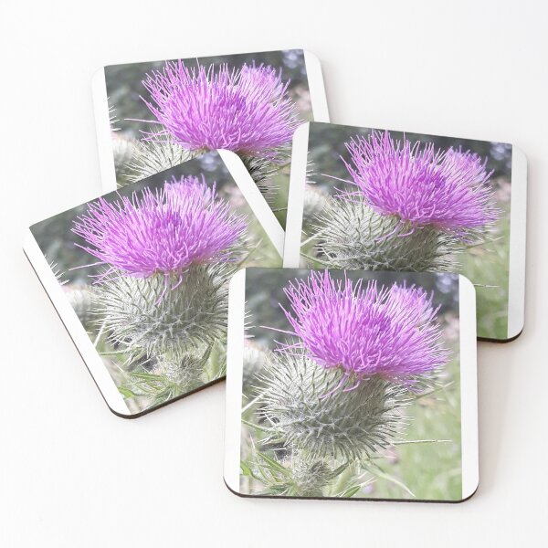 Item preview, Thistle designed and sold by Pickle-Mouse.