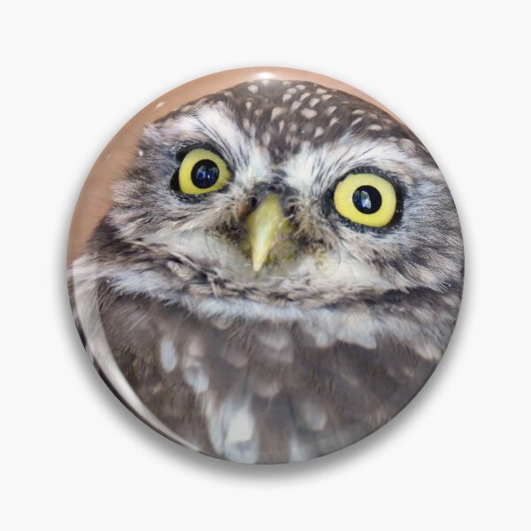Item preview, The Little owl - NZ designed and sold by AndreaEL.