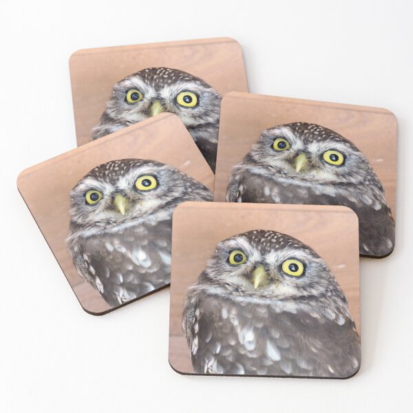 Item preview, The Little owl - NZ designed and sold by AndreaEL.