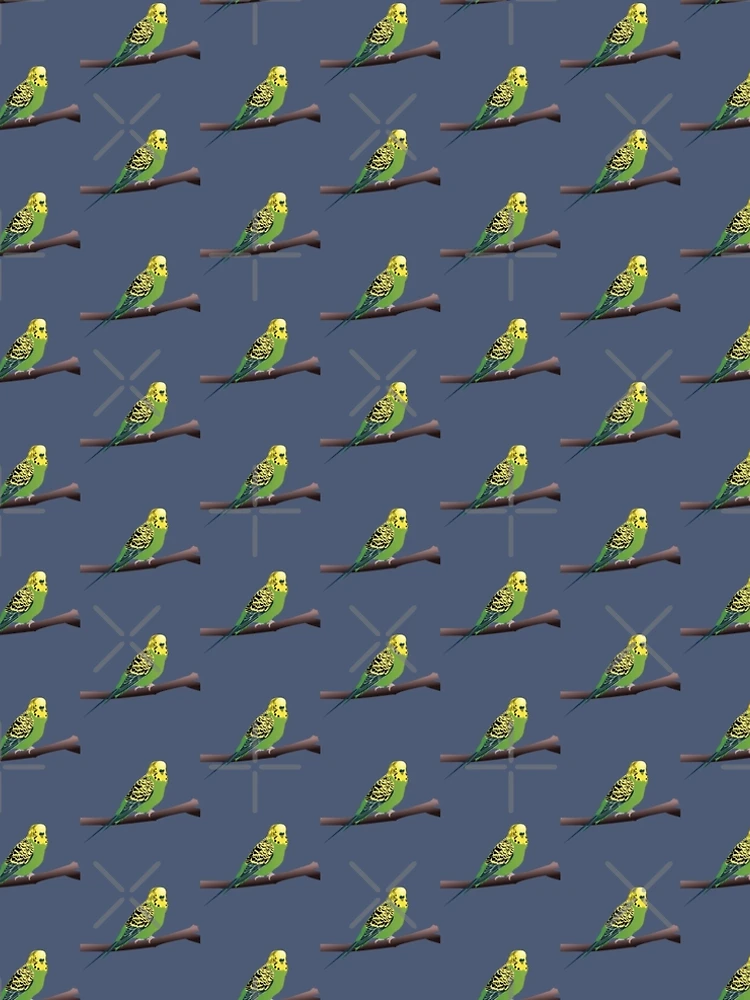 Green Parakeet/Budgie" A-Line Dress for Sale by KCPetPortraits | Redbubble Green Parakeet/Budgie" A-Line Dress for Sale by KCPetPortraits | Redbubble