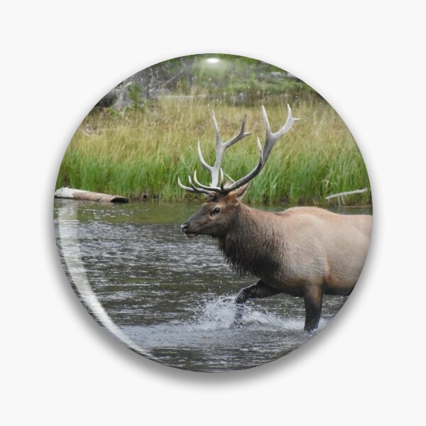 Item preview, Alce de vida silvestre de Yellowstone designed and sold by David Garry.