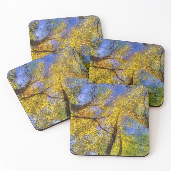 Item preview, Yellow Beech Trees designed and sold by AntonyMitchell.