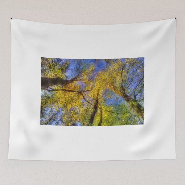 Item preview, Yellow Beech Trees designed and sold by AntonyMitchell.