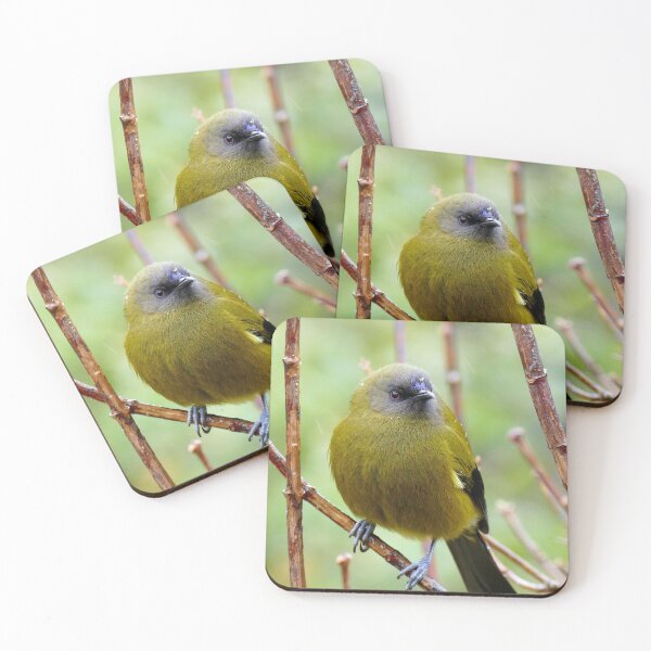 Item preview, Bellbird - Southland NZ designed and sold by AndreaEL.