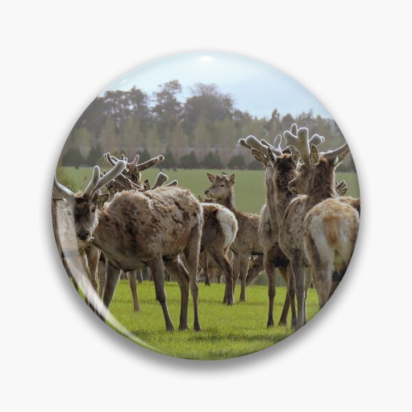 Item preview, So Curious - Deer - Southland designed and sold by AndreaEL.