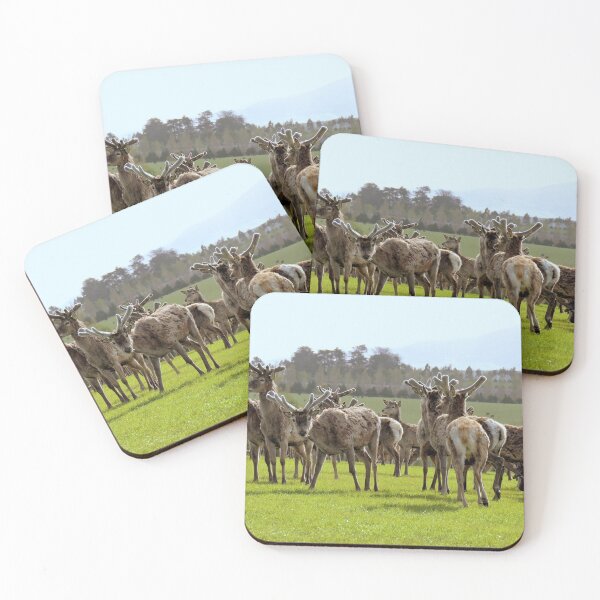 Item preview, So Curious - Deer - Southland designed and sold by AndreaEL.