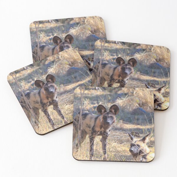 Item preview, Two African wild dogs in Moremi Game Reserve, Botswana designed and sold by SafariByMarisa.