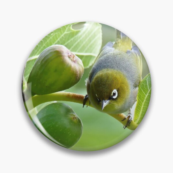 Item preview, The Fig And Eye designed and sold by AndreaEL.