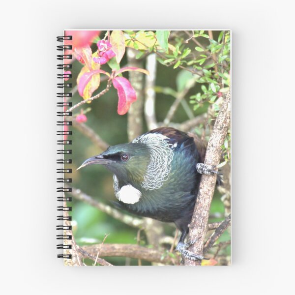 Item preview, Are You Singing The Chorus -Tui - NZ designed and sold by AndreaEL.