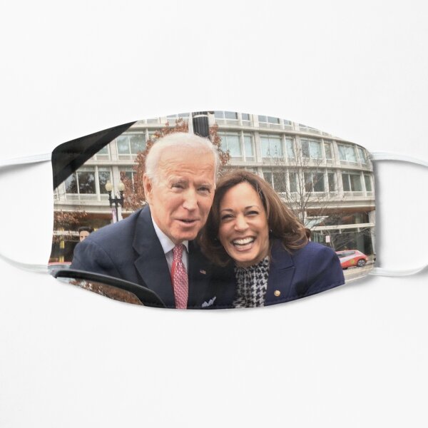 Biden Harris 2020 Flat Mask