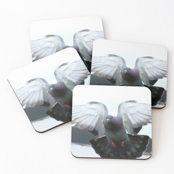 Item preview, Rocky Rescued Rock Pigeon - NZ designed and sold by AndreaEL.