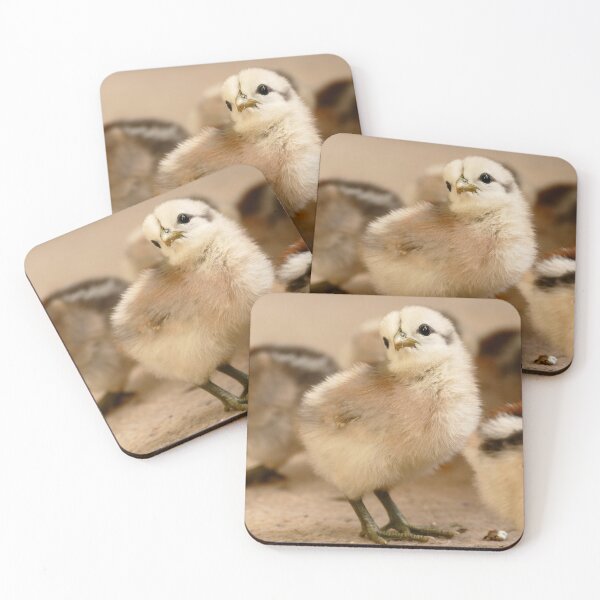 Item preview, I'm Posing - Chick - NZ designed and sold by AndreaEL.