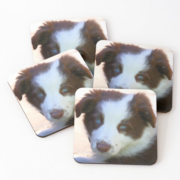 Item preview, Blue Eyed Blitz -  Border Collie - NZ designed and sold by AndreaEL.