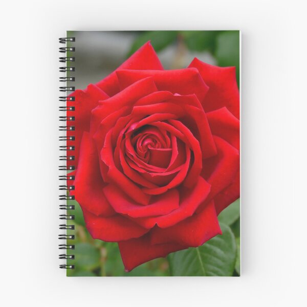 Item preview, Roses Are Red... - NZ designed and sold by AndreaEL.