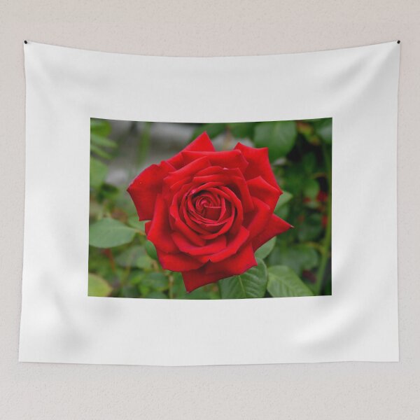 Item preview, Roses Are Red... - NZ designed and sold by AndreaEL.