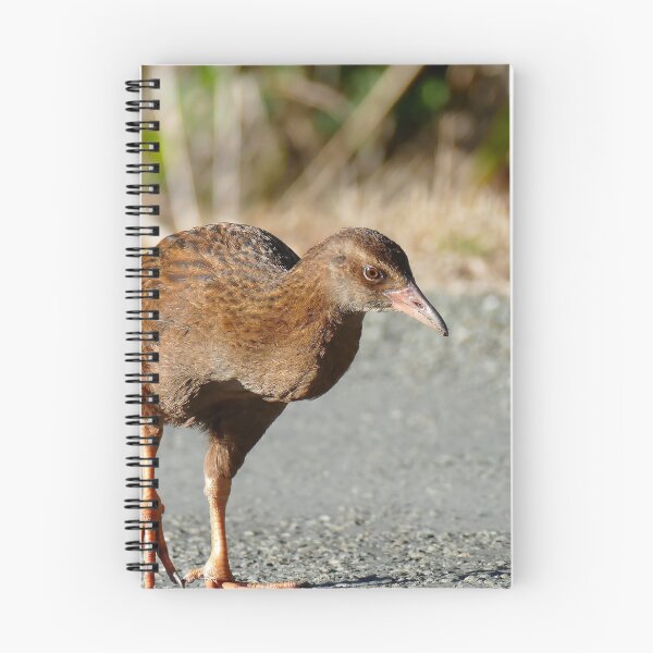 Artikelvorschau, Ein beschäftigter Weka - NZ entworfen und verkauft von AndreaEL.