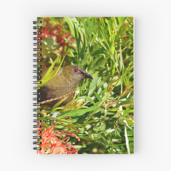 Item preview, The Morning Chime - Bellbrid NZ designed and sold by AndreaEL.