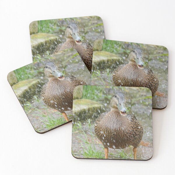 Item preview, A Heavinly Shower -  Daffy Rescued Duck - NZ designed and sold by AndreaEL.