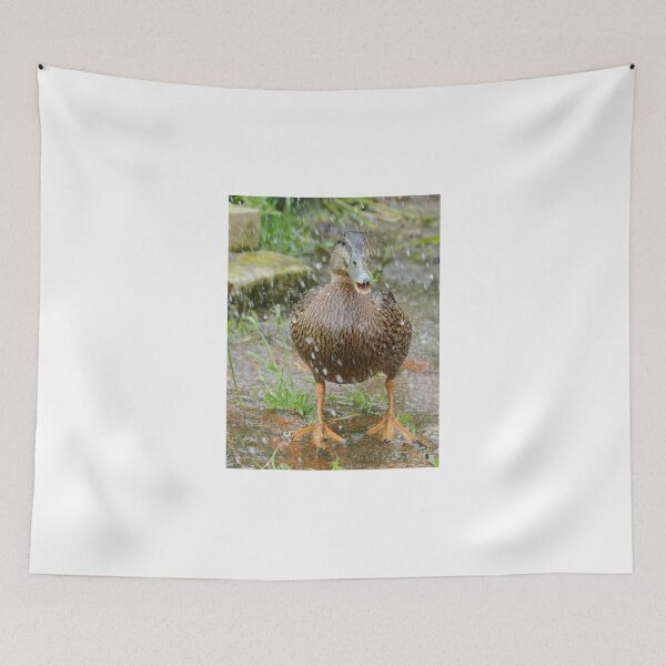Item preview, A Heavinly Shower -  Daffy Rescued Duck - NZ designed and sold by AndreaEL.